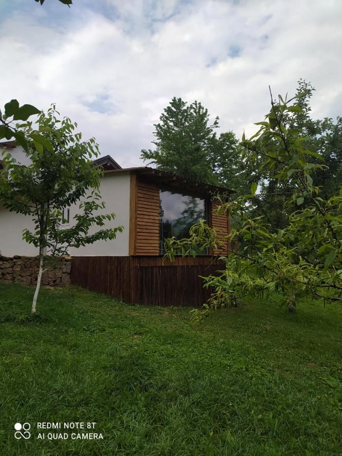 Lenilenii Bungalows ヤイツェ エクステリア 写真