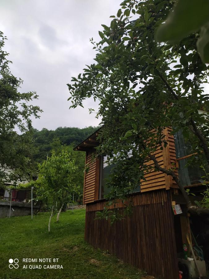 Lenilenii Bungalows ヤイツェ エクステリア 写真